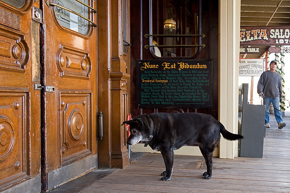 Delta Saloon, Virginia City, Nevada