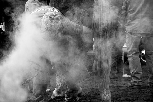 _DSC0848 12X18 BW