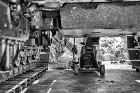 _DSC1207 12X18 BW