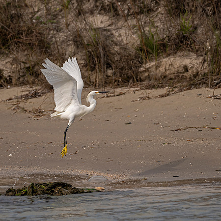 _DSC0998