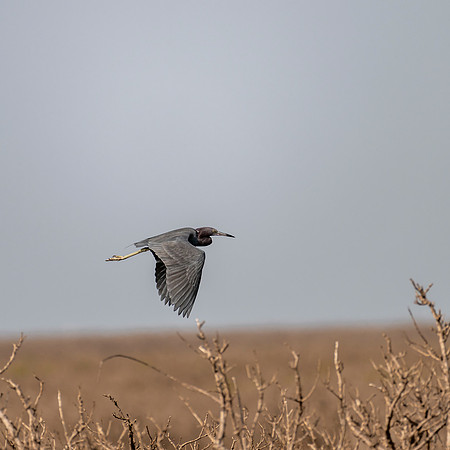 _DSC1127