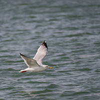 _DSC1416