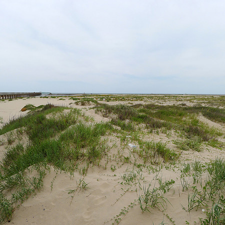 P1020666