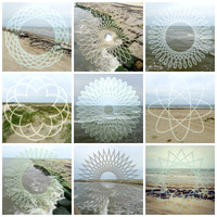 Matagorda collage