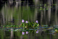 _DSC5022