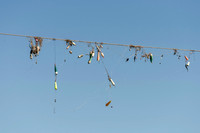 _DSC0565