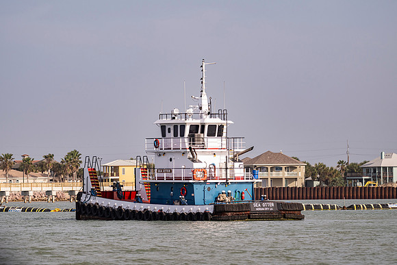 _DSC1731