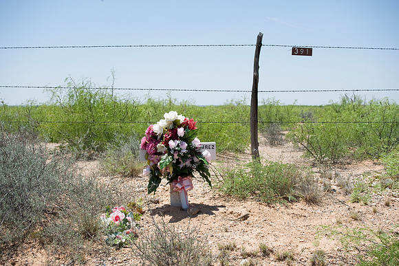 5884 Texas 2009