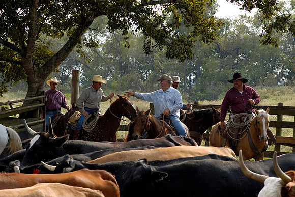 Wharton County, Texas