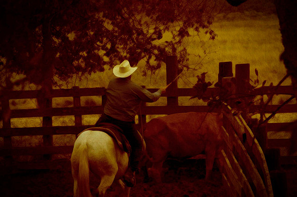 Wharton County, Texas