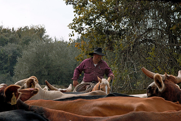 Wharton County, Texas