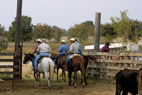 Wharton County, Texas