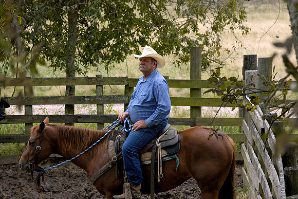 Wharton County, Texas