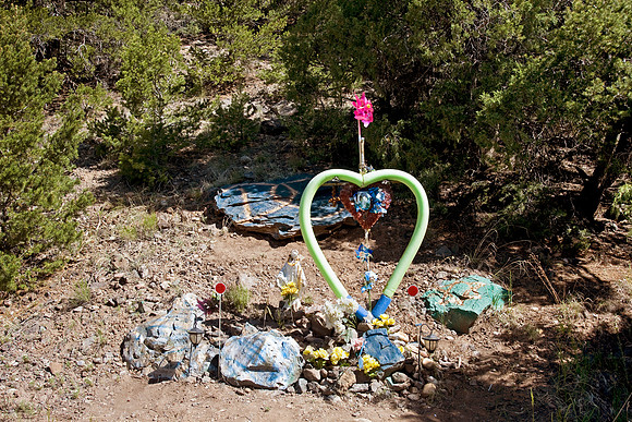 5694 New Mexico 2009