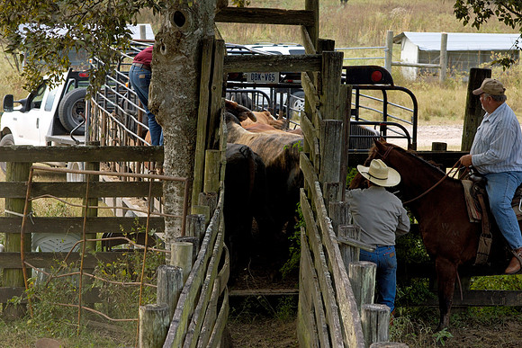 Wharton County, Texas