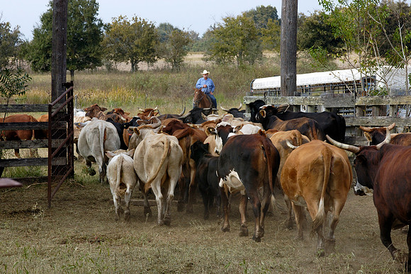 Wharton County, Texas